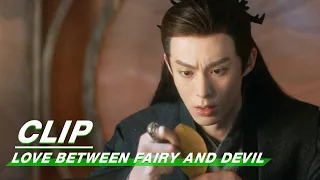 Qingcang will change Orchid's destiny | Love Between Fairy and Devil EP35 | 苍兰诀 | iQIYI