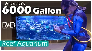 6000 GALLON REEF AQUARIUM IN ATLANTA, GEORGIA BY REEF AQUARIA DESIGN - BUILT & MAINTAINED SINCE 2018