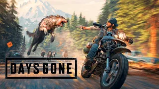 Days Gone - Жизнь после апокалипсиса - №1