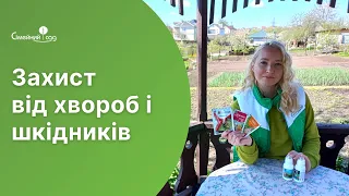 Виростіть свій найбільший врожай капусти.