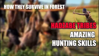 AMAZING HUNTING SKILL OF HADZABE TRIBES - SEE HOW THEY SURVIVE IN THE FOREST