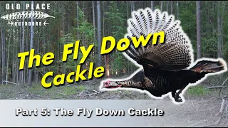 Beginners Guide to Using a Mouth for Turkeys - Part 5: The Flydown Cackle