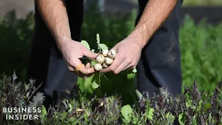 Fighting Hunger At Every Table: A Discussion With Farmers, Chefs, And Business Leaders