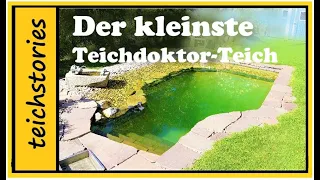 Schwimmteich für kleine Gärten