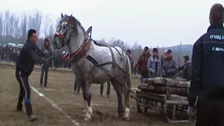 Тодоров ден в Калугерово 2018г/Сираков ТВ/КЛ.5