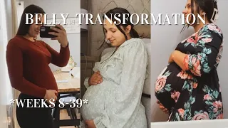 PREGNANCY BELLY GROWTH | week by week transformation, baby #2