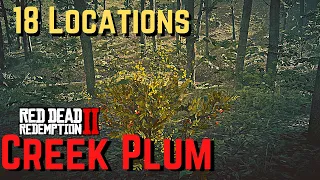 Creek Plum (NEW) Locations All Day Cycles