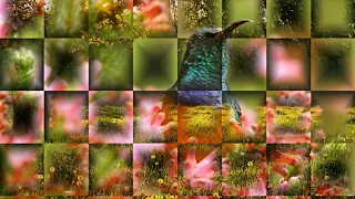 Awakening Spring - long version - Beautiful 4K Photos & Soft Piano Music with Birds & Water Sounds