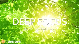 Sunray Nature - Relaxing Guitar Music 🌞 Music For Meditation, Stress Relief, Healing