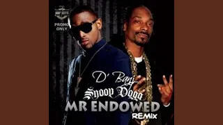 Mr Endowed (Remix)