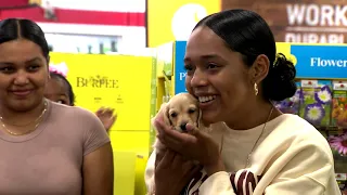 Liver transplant recipient gifted dachshund for her Make-A-Wish