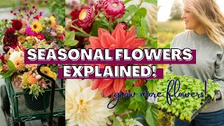 Seasonal Flowers Explained: When We Plant Our Hardy and Tender Annuals, Bulbs and More!