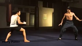 Donnie Yen vs Bruce Lee