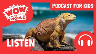 Can LIZARDS fall in LOVE? ❤️🦎 | PODCAST FOR KIDS 🎧 | Wow in the World (Full Episode)
