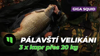 Pálavští Velikáni | Giga Squid | Karel Nikl