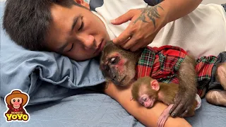 Monkey YoYo Jr helps dad take care of baby monkey Yumy