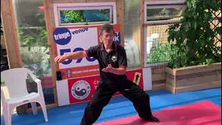 Chen Tai Chi 8 Form (energy release)