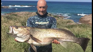 Ep,19  Spearfishing Big Jew & YellowTail Kingfish + Smoked Kingy on the Webber