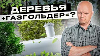 Можно ли сажать деревья рядом с газгольдером? | Автономная газификация