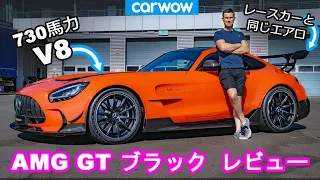 【詳細レビュー】メルセデス AMG GT ブラックシリーズ