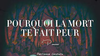 Pourquoi la mort te fait peur - Pomme [Lyrics & Sub. Español]