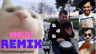 Cat Vibing To Ievan Polkka (REMIX) Cat Vibing To Music | Cat Vibing Meme