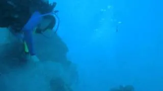 Cozumel Current Change Scuba Dive - thought it was a Tsunami!