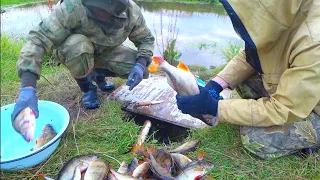 НАШЛИ В ОКУНЕ ЖУТКОГО ГРЫЗУНА!!! ЧИСТИМ КРУПНЫХ ОКУНЕЙ ПОСЛЕ РЫБАЛКИ. ПОЛНЫЙ ТАЗ РЫБЫ ЗА ОДИН ВЫХОД.