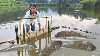 The girl's unique way of trapping fish resulted in a lot of fish. Daily life on the lake.