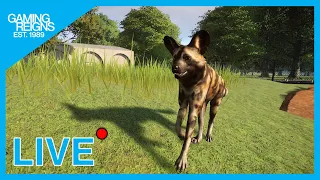 Habitat Building in my Zoo - Planet Zoo Live Stream