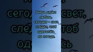 Как жаль, что нет у прошлого дверей... 💯 Потрясающие стихи. 💯  #shorts #стихи  #жизненнаяпоэзия