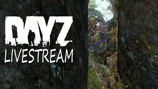 DayZ Battle Royale Vigrid - Return of the Arma 3 BR?