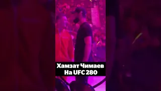 ХАМЗАТ ЧИМАЕВ ПРИБЫЛ НА UFC 280 #shorts