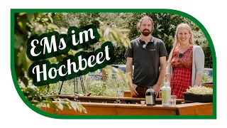 Hochbeet bepflanzen für den Sommer | mit Hilfe von Effektiven Mikroorganismen