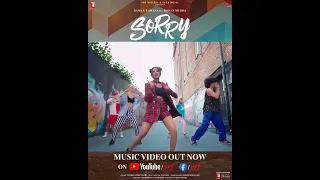 Sorry song | Status video | Bollywood song | Raman Romana | Rohan Mehra