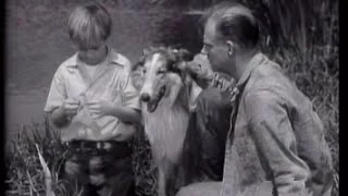 Lassie - Episode 6 - "The Convict" (Originally broadcast 10/17/1954)