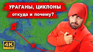 Бывает ли зима на экваторе? Как формируются ураганы? Чем отличаются тайфуны от циклонов?