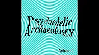 Various ‎– U-Spaces: Psychedelic Archaeology Vol 1 :60s USA Garage Rock Fuzz Psych Music Compilation