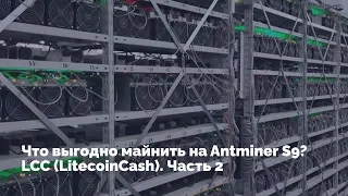 Что выгодно майнить на Antminer S9? LCC (LitecoinCash). Часть 2.