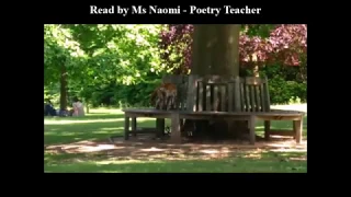 Poem - First Fox by Pamela Gillilan