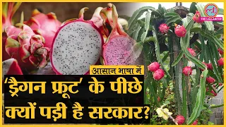 Dragon fruit की खासियत क्या है? केंद्र सरकार ले रही बड़ा फैसला?। Aasan Bhasha Mein। Explainer