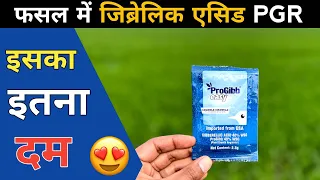 ProGibb Easy 🤔 जिब्रेलिक एसिड हार्मोनल का क्या काम होता है ? Gibberellic Acid 😳 Growth Hormone 🌾