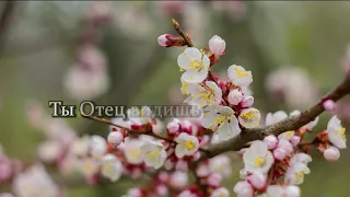 Помоги мне подняться - Плюс