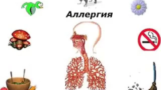 Этапы загрязнения организма