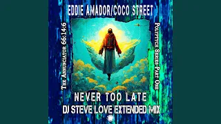 Never Too Late (DJ Steve Love Extended Mix)