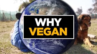 Why Vegan? [NOT-GRAPHIC]