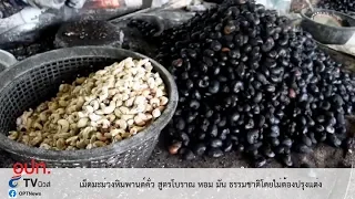 เม็ดมะม่วงหิมพานต์คั่ว สูตรโบราณ หอม มัน ธรรมชาติโดยไม่ต้องปรุงแต่ง