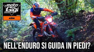 Perchè nell'enduro bisogna guidare in piedi?