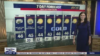 Freezing temperatures are right around the corner | FOX 13 Seattle