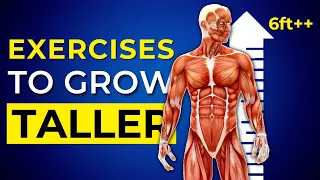 Top 10 Home Exercises to Become Taller in No Time